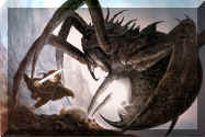 shelob.jpg (460462 bytes)