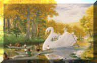 swan.jpg (521317 bytes)